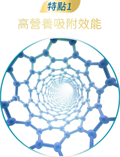 特點1 高營養吸附效能