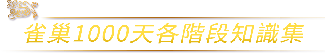 雀巢1000天各階段知識集