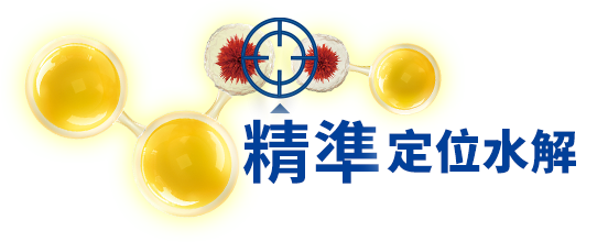 精準定位水解