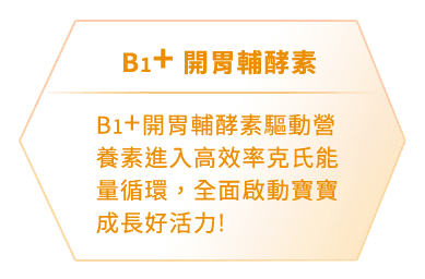 B1+ 開胃輔酵素