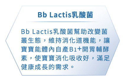 Bb Lactis 乳酸菌