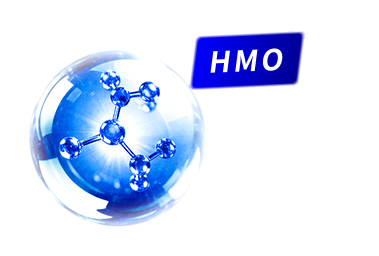 全新添加 HMO